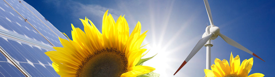 Fotolia_sonnenblume_16445913_M5_960x270.jpg